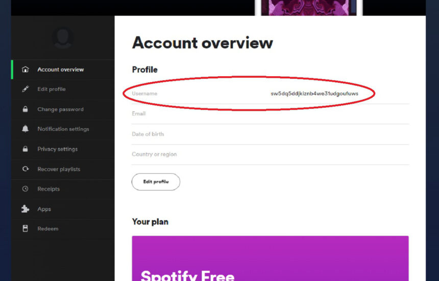 Change Spotify Username