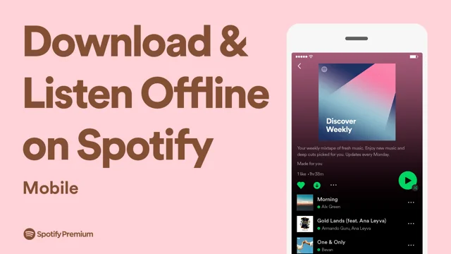 Spotify Music Offline