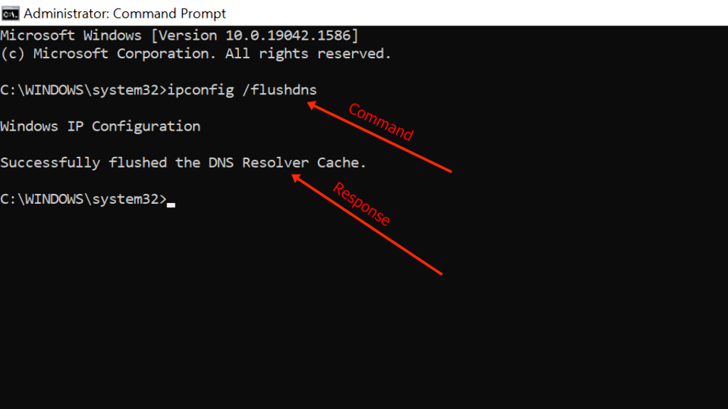 Clear DNS cache