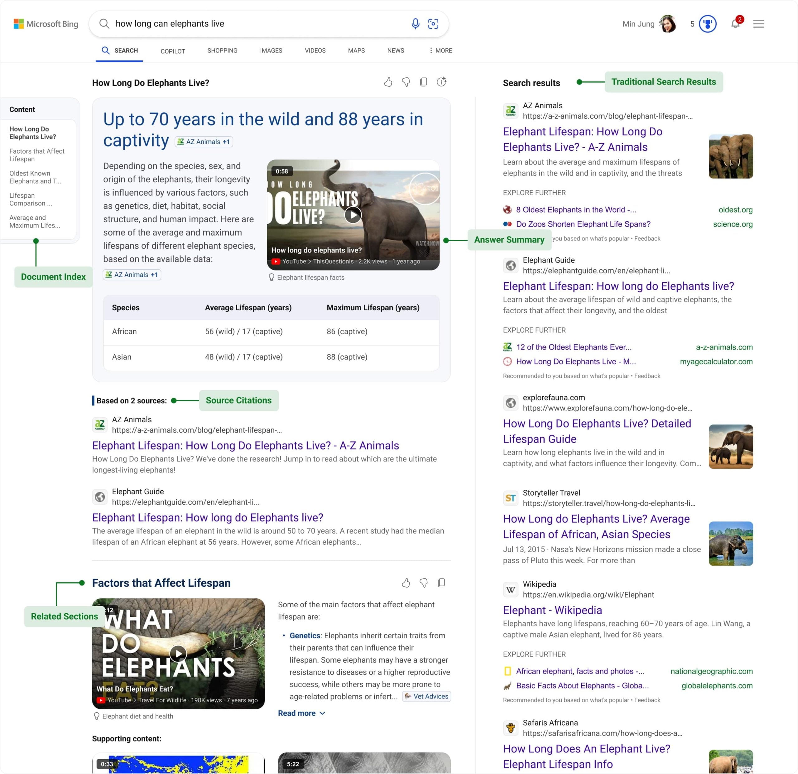 Screenshot of Bing General Search's search navigation structure, showing AI-generated visual results and references used in the main section. On the right side, traditional Bing search results appear.