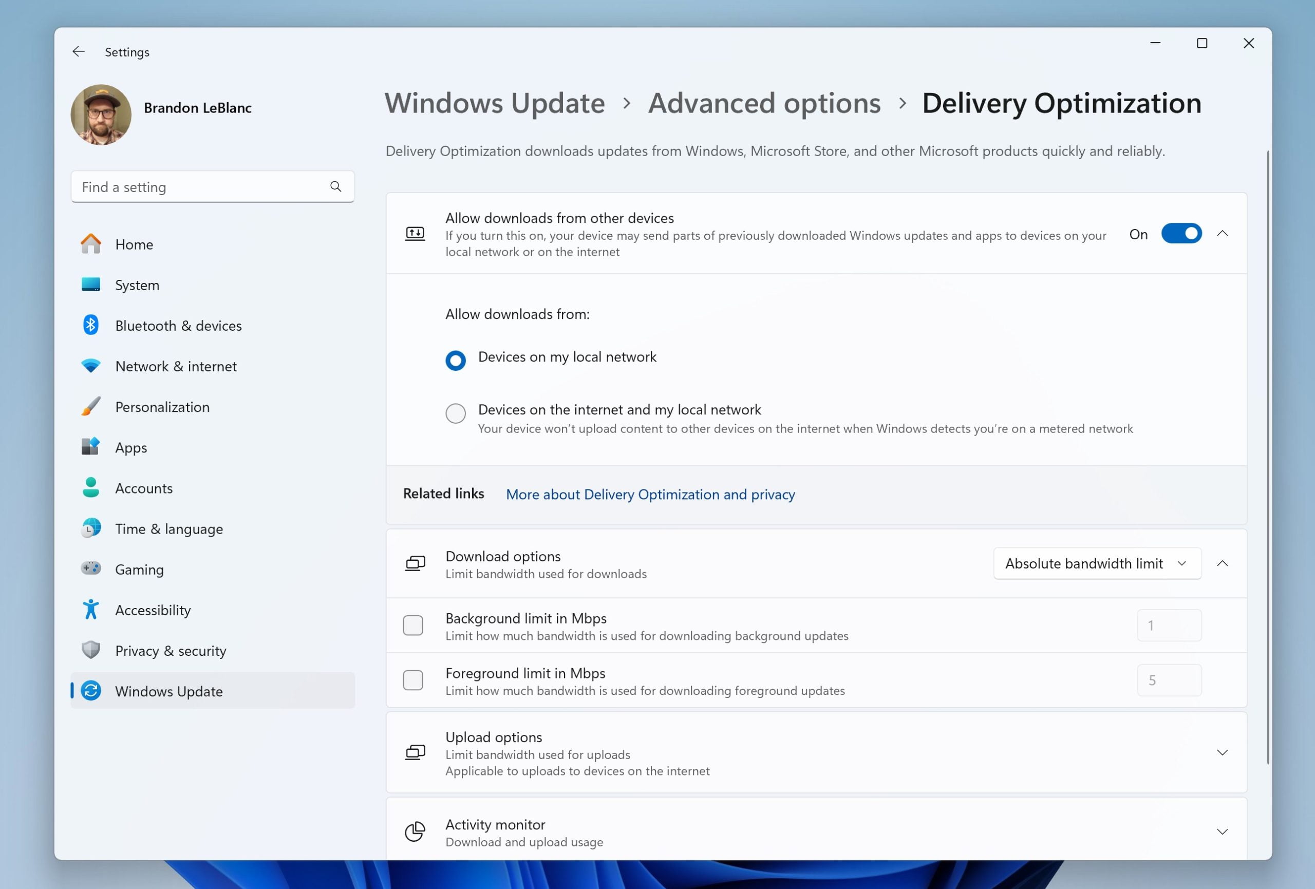 Delivery Optimization page in the Windows 11 Settings app