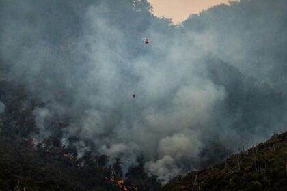 Google to launch AI-powered satellites to detect wildfires