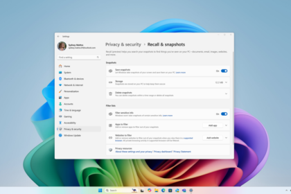 Customize Privacy settings in Windows 11 24H2