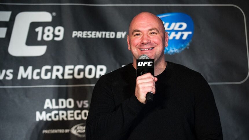 Meta appoints UFC CEO Dana White to board of directors