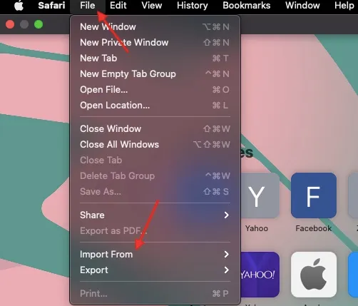 Import Data into Safari on macOS